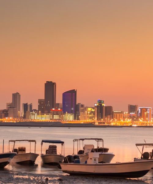 Bahrain eSIM