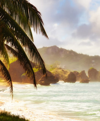 Barbados eSIM