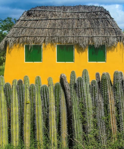Bonaire eSIM