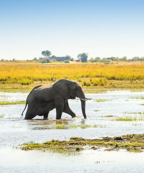 Botswana eSIM