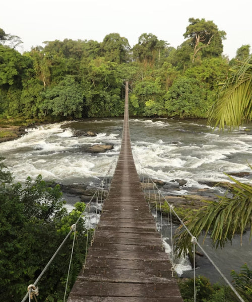 Cameroon eSIM