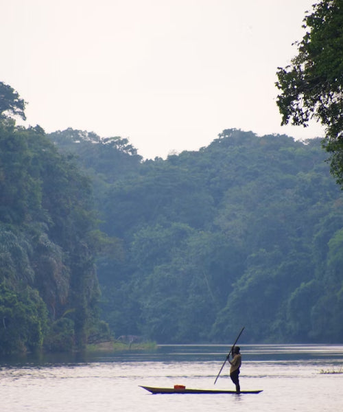 Democratic Republic of the Congo eSIM