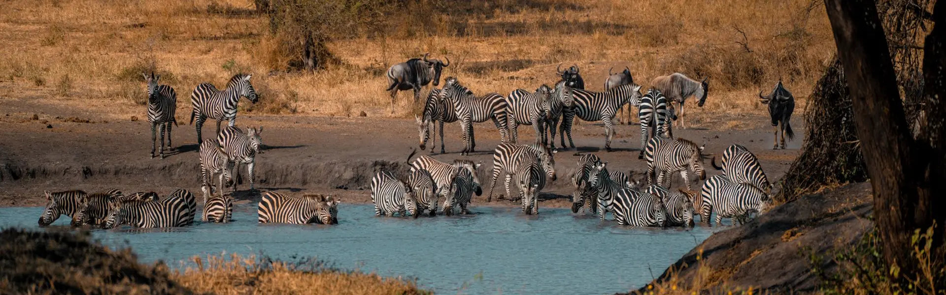 Africa