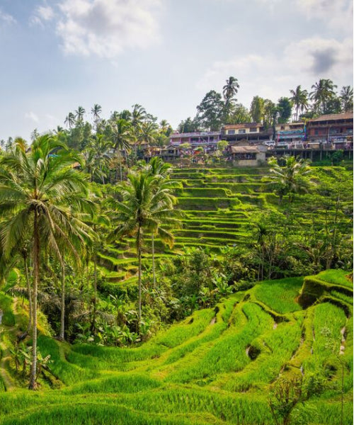 Indonesia eSIM