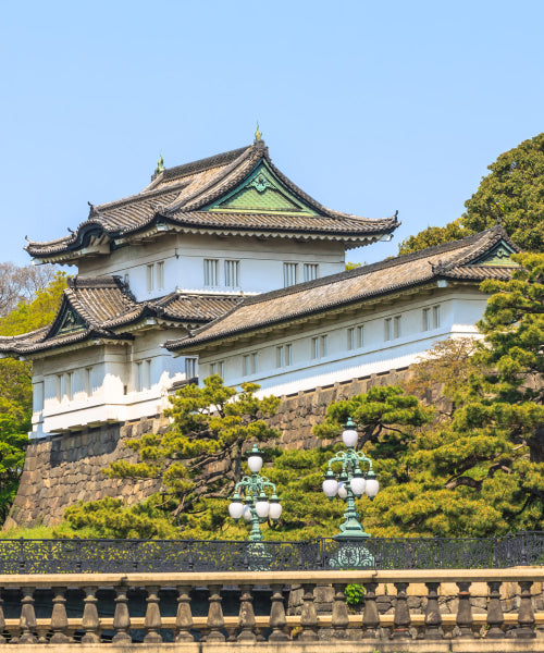 Japan eSIM