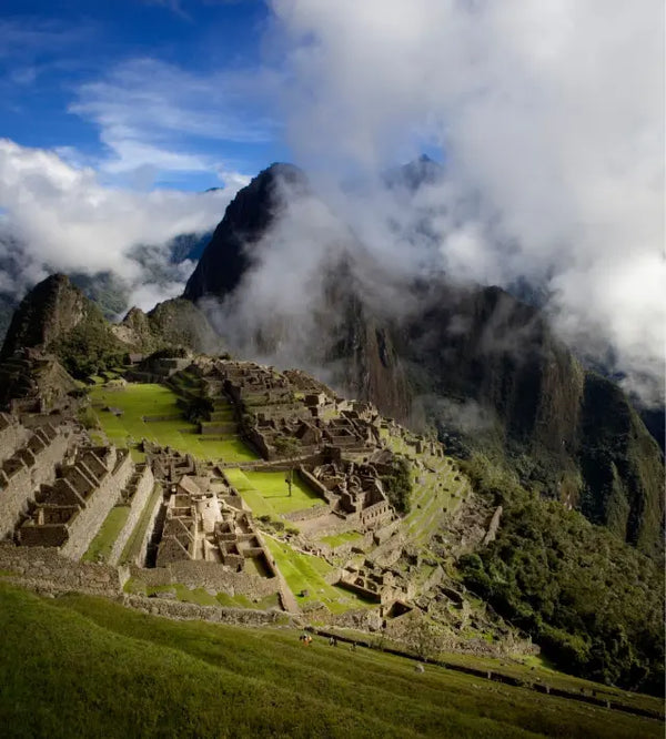 Latin America