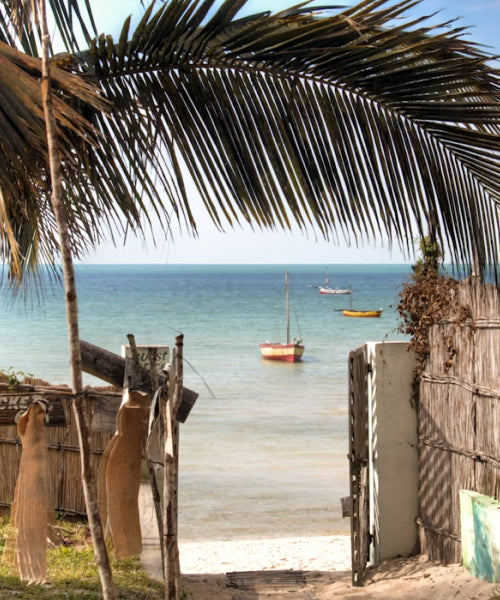 Mozambique eSIM