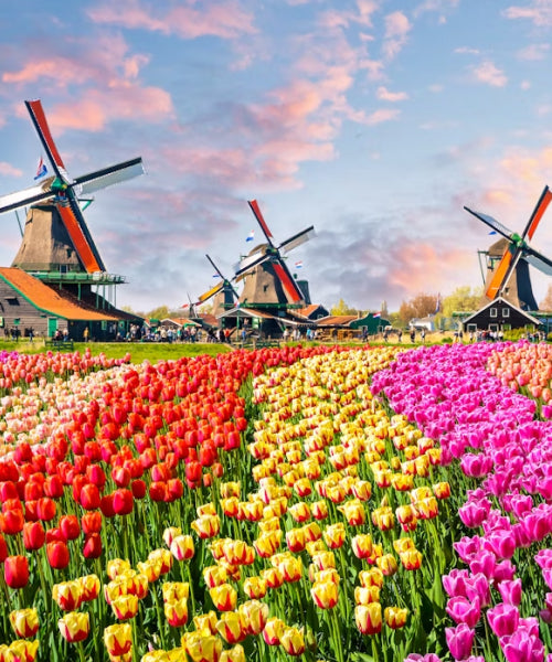 Netherlands eSIM