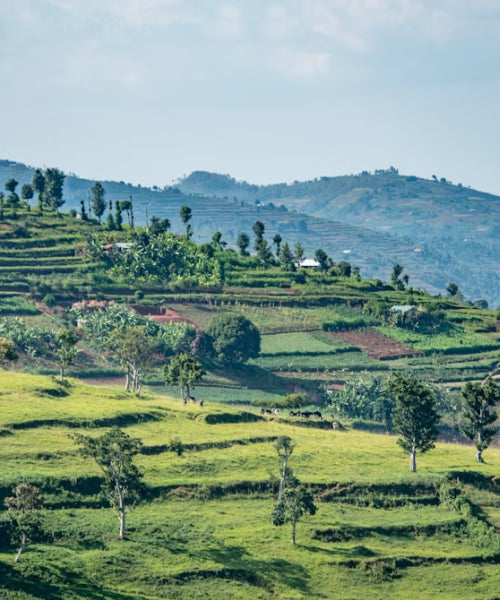 Rwanda eSIM