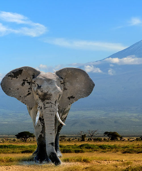 Tanzania eSIM