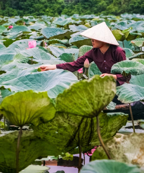 Vietnam eSIM