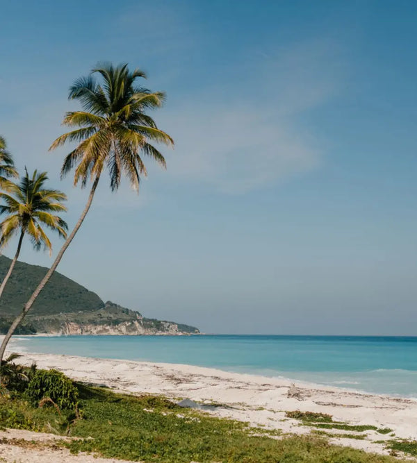 Caribbean